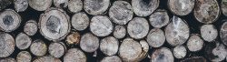Wood log pile